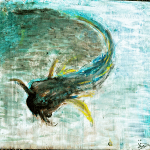 ELOHERFISH