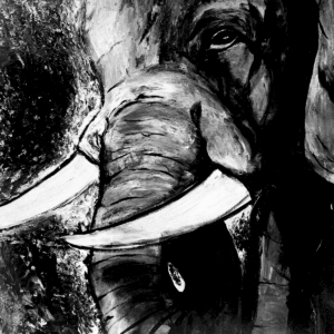 ELEPHANTE
