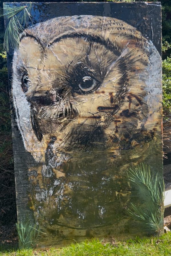 Wisdom, Fire burning, acrylic & charcoal on wood